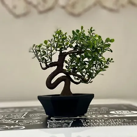 Heart Of The Ultracentral Old Town * Bükreş